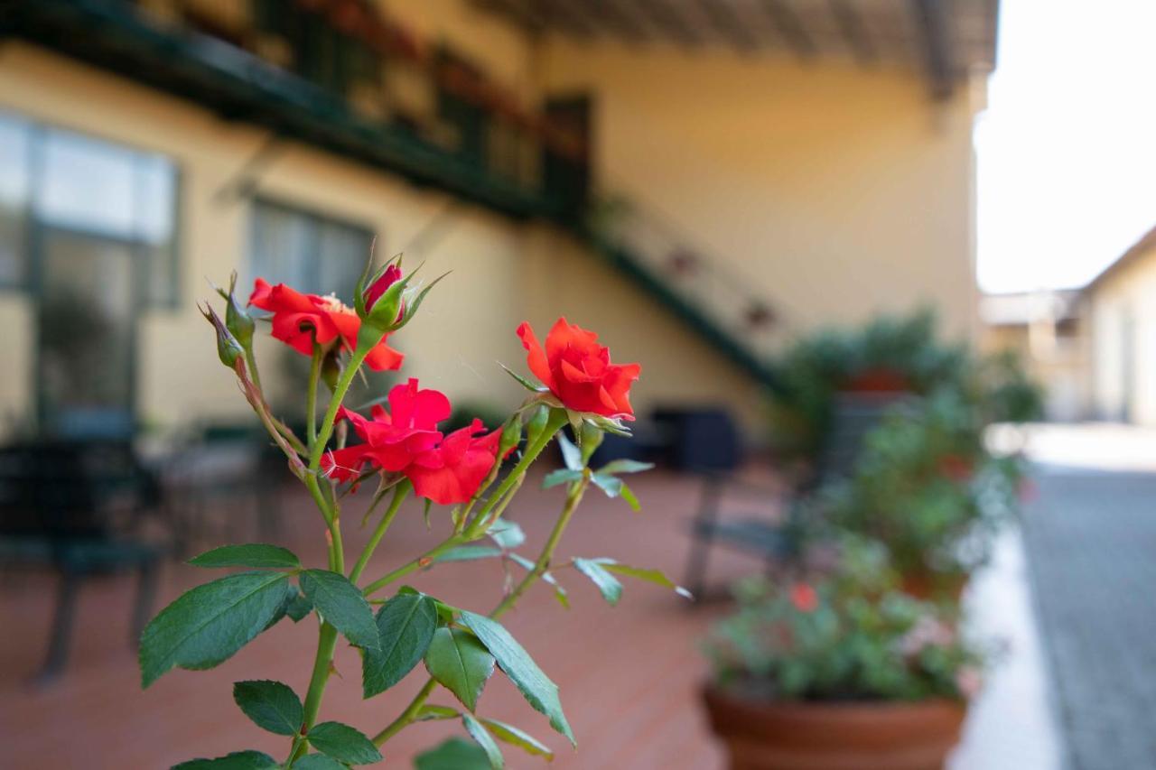 Al Frantoio Maddii Levane Bed And Breakfast Exterior foto